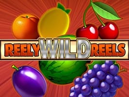 Reely Wild Reels screenshot